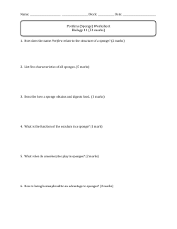 Porifera (Sponge) Worksheet Biology 11 (51