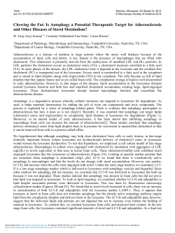 Chewing the Fat: Is Autophagy a Potential Therapeutic Target for