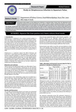 Study on Streptococcus Infection in Aquarium Fishes