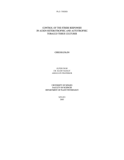 control of the stress responses in auxin heterotrophic and