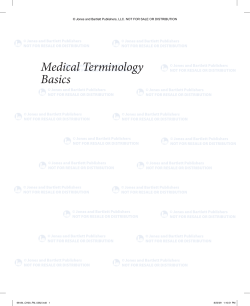 Medical Terminology Basics