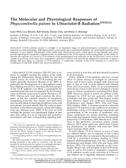 The Molecular and Physiological Responses of