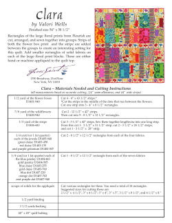 Clara - Fleruish Promo