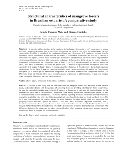 Structural characteristics of mangrove forests in Brazilian estuaries
