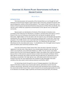 chapter 11: native plant adaptations to flow in grand canyon