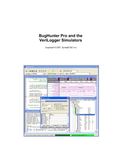 BugHunter Pro and the VeriLogger Simulators