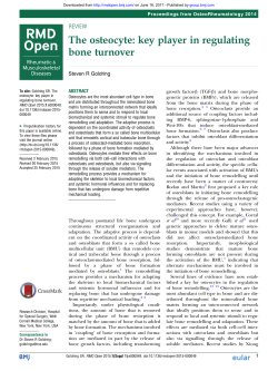 The osteocyte: key player in regulating bone turnover