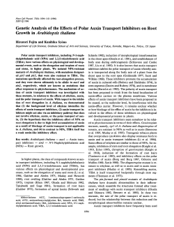 Genetic Analysis of the Effects of Polar Auxin Transport Inhibitors on