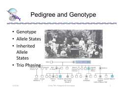Pedigree and Genotype