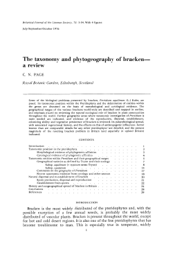 The taxonomy and phytogeography of brackena