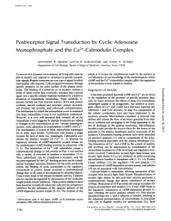 Postreceptor Signal Transduction by Cyclic Adenosine