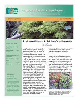 here - Pennsylvania Natural Heritage Program