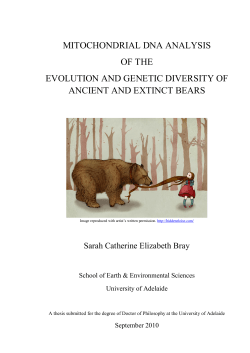 mitochondrial dna analysis of the evolution and genetic diversity of