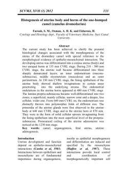 SCVMJ, XVII (1) 2012 133 Histogenesis of uterine body and horns of