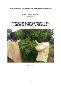 Public Final report DBM 01002 Mali