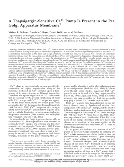 Pump Is Present in the Pea Golgi Apparatus
