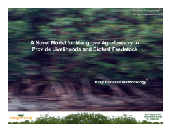 Agroforestry Presentation