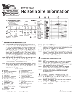 How to Read Holstein Sire Information