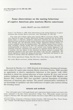 Some observations on the mating behaviour of captive American