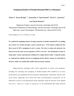 Unzipping Kinetics of Double-Stranded DNA in a