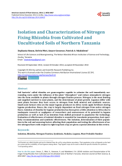 Isolation and Characterization of Nitrogen Fixing Rhizobia from