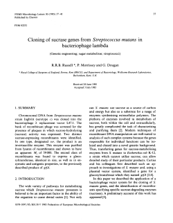 Cloning of sucrase genes from Streptococcus