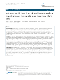 PDF - BioMed Central