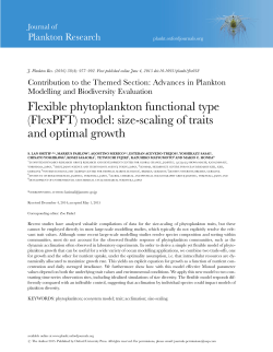 Flexible phytoplankton functional type (FlexPFT) model: size