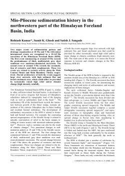 Mio-Pliocene sedimentation history in the northwestern