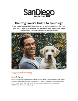 San Diego Magazine | The Dog Lover`s Guide to San Diego