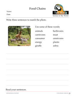 Food Chains - Scholastic Canada