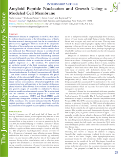 Amyloid Peptide Nucleation and Growth Using a Modeled Cell