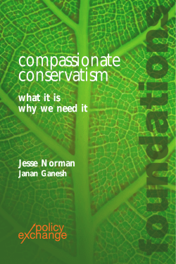 compassionate conservatism