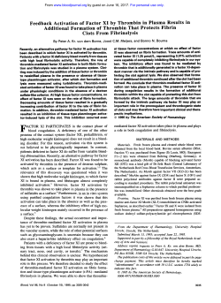 Feedback Activation of Factor XI by Thrombin in