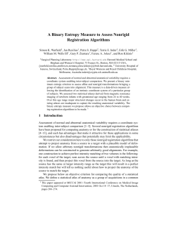 A Binary Entropy Measure to Assess Nonrigid Registration Algorithms