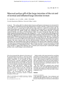 Mucosal surface pH of the large intestine of the rat and of