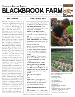 Newsletter 7 - Blackbrook Farm