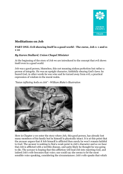 Meditations on Job