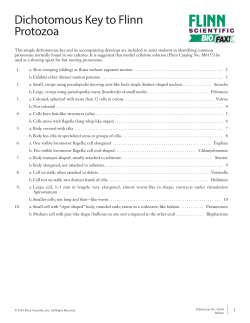 Dichotomous Key to Flinn Protozoa