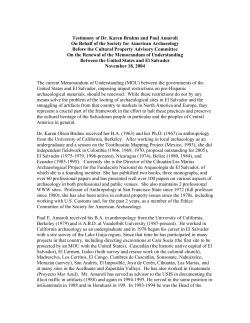 Bruhns and Amaroli Testimony Before the Cultural Property Advisory