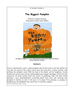 biggest pumpkin curriculum guide