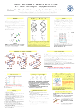 Structural Characterization of LNA (Locked Nucleic Acid) and &alpha;