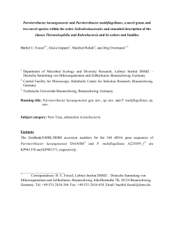 Parviterribacter kavangonensis and Parviterribacter multiflagellatus