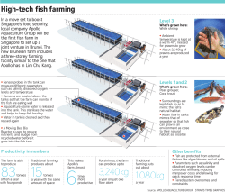 3,240kg 1,080kg - The Straits Times