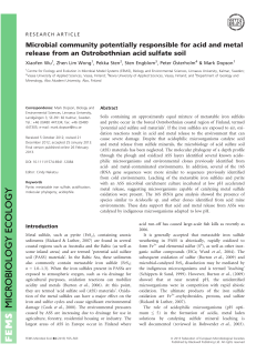 Microbial community potentially responsible for acid and metal