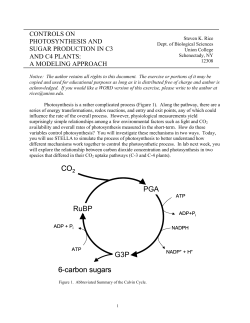 Modeling Photosynthesis