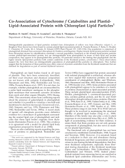 Lipid-Associated Protein with Chloroplast Lipid