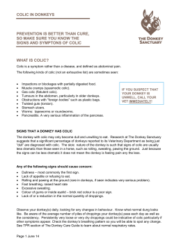 Colic in donkeys - The Donkey Sanctuary