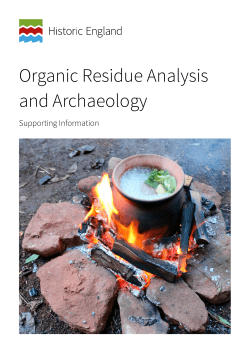 Organic Residue Analysis and Archaeology