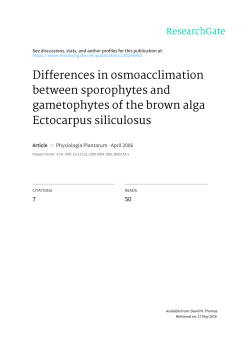 Differences in osmoacclimation between sporophytes